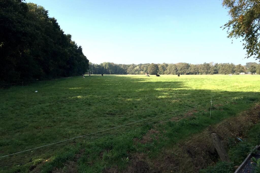 Natuurhuisje Veluwe Met Houtkachel En Pizzaoven Villa Ermelo Exteriör bild